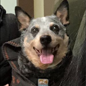 Meet your Posher, Montserrat